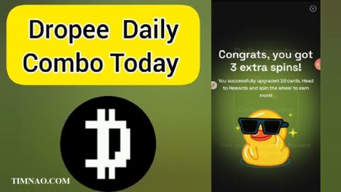 Dropee daily combo