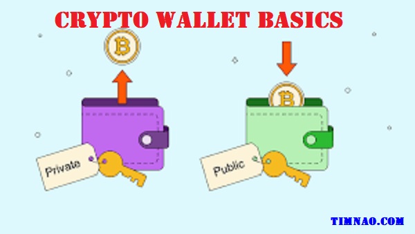 Crypto Wallet Basics
