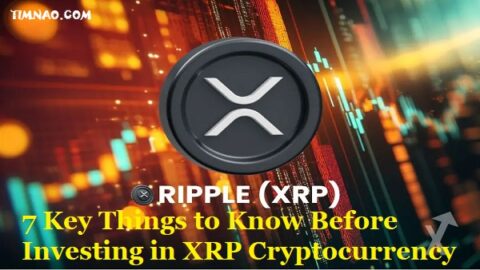 Ripple XRP for Beginners: 7 Key Things to Know Before Investing in XRP Cryptocurrency