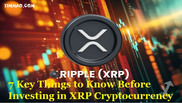 Ripple XRP for Beginners: 7 Key Things to Know Before Investing in XRP Cryptocurrency