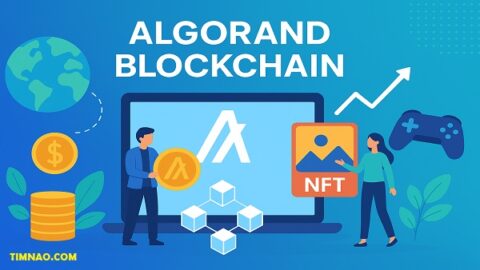 Algorand Blockchain: Powerful Benefits for Beginners & Real-World Uses